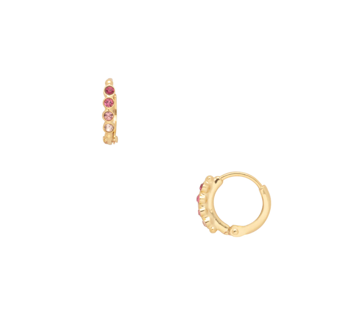Mini Huggie Hoops- Big Flirt