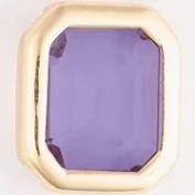 Charm Luxe Camryn Birthstone February