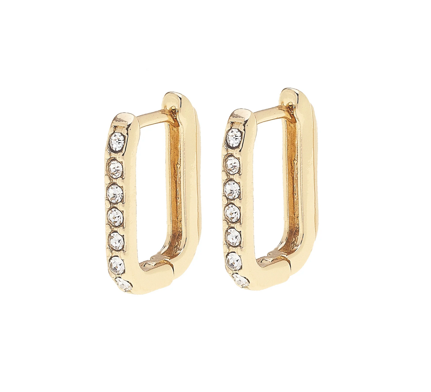 Canvas Huggie Collection Spring 2025