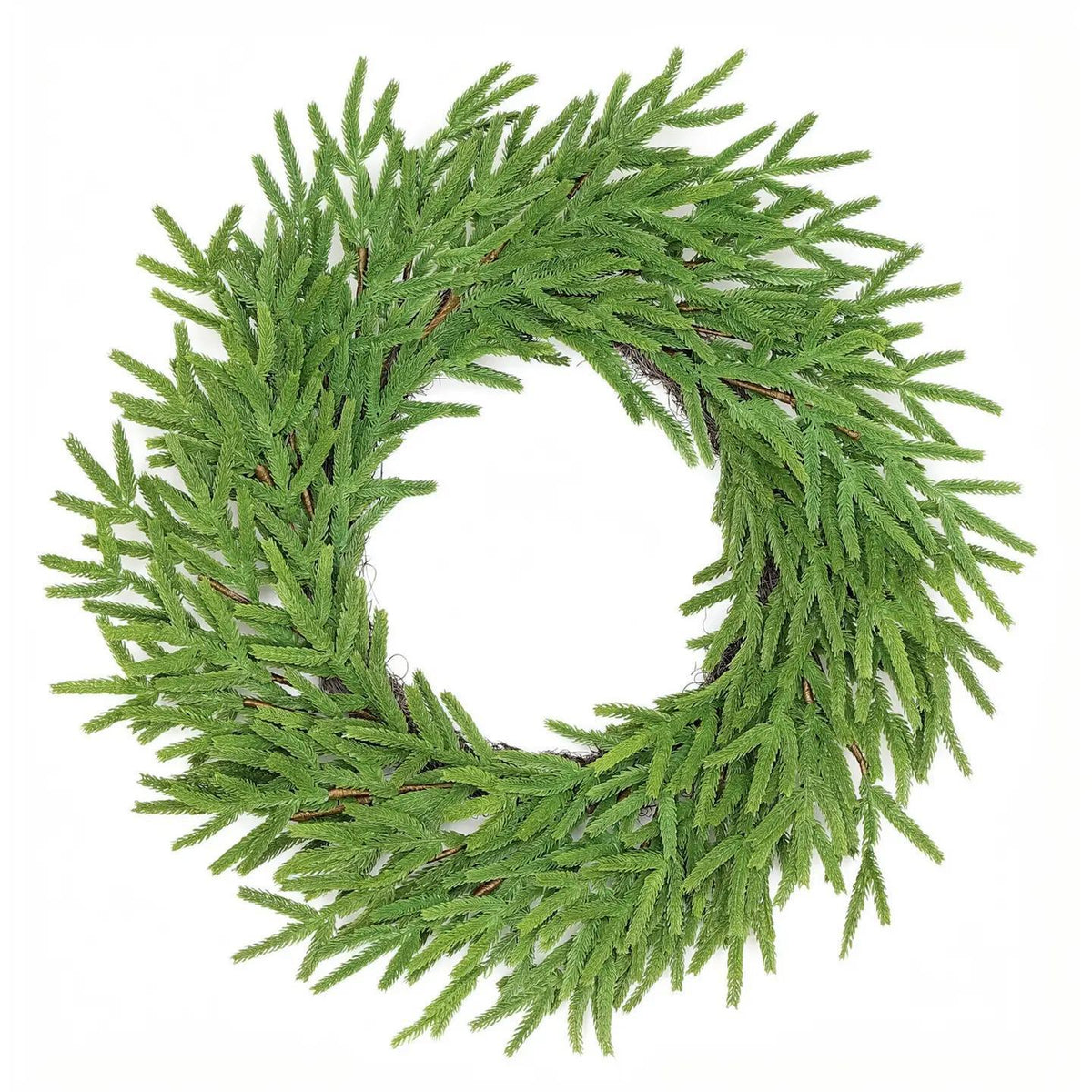 Norfolk Pine Wreath