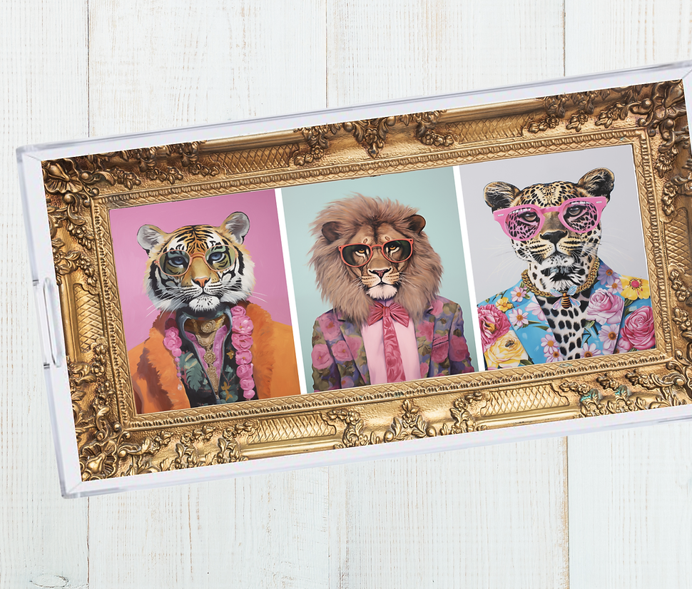 11 x 17 Acrylic Insert Set