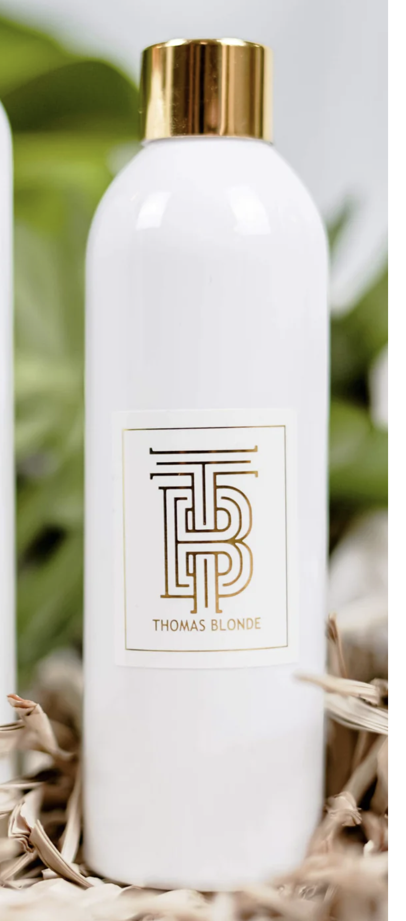 Joshua Tree - Diffusing Oil