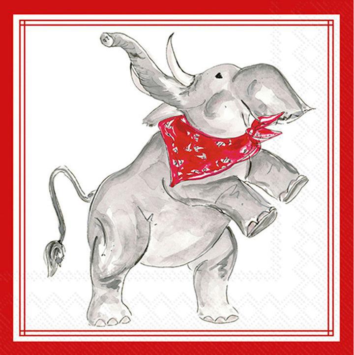 Assorted Decorative Napkins