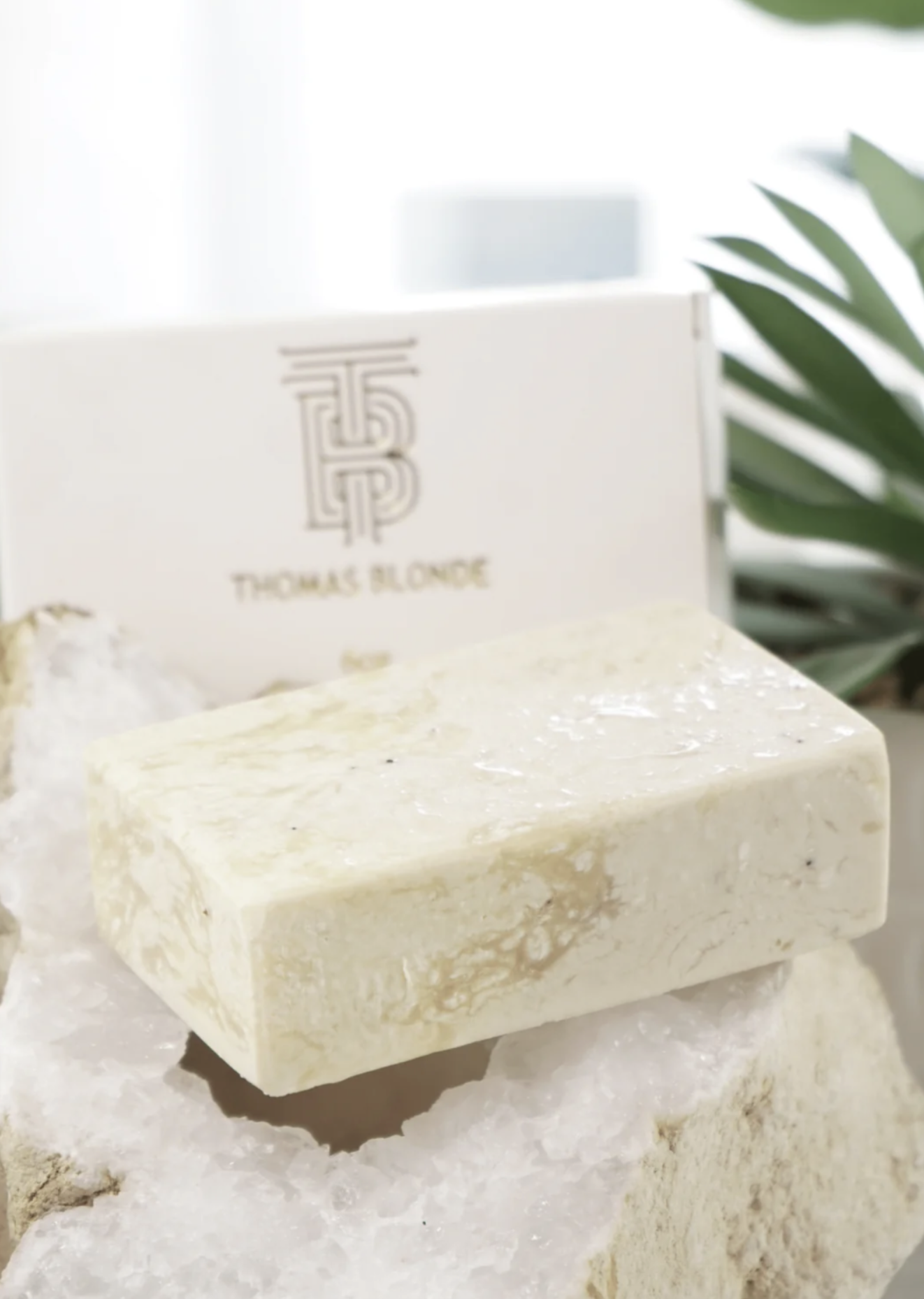 Thomas Blonde Exfoliating Moisturizing Body Bar