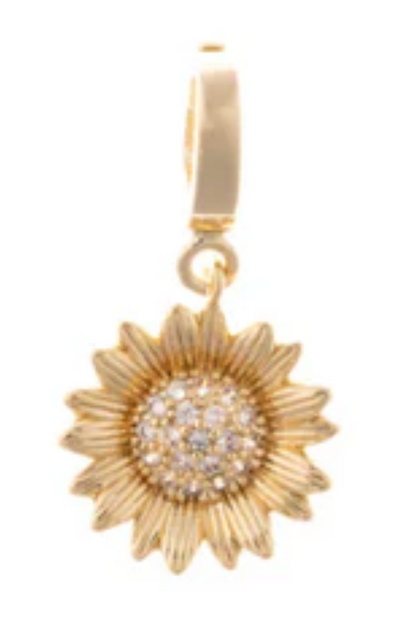 Lifestyle Charms