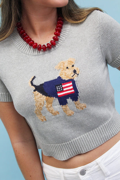 Jax with Flag Sweater