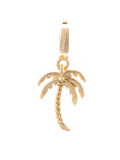 Lifestyle Charms