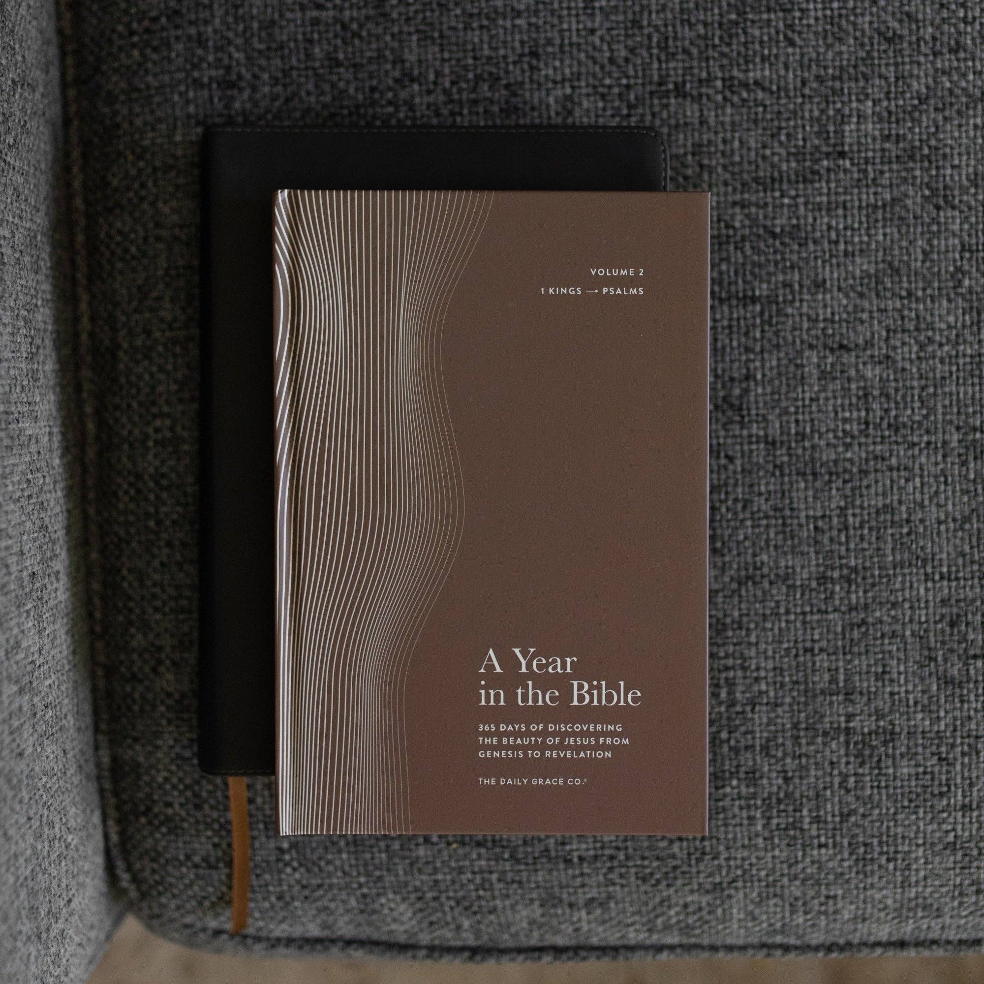 A Year in the Bible | Men's Study | 365 Days of Discovering the Beauty ...