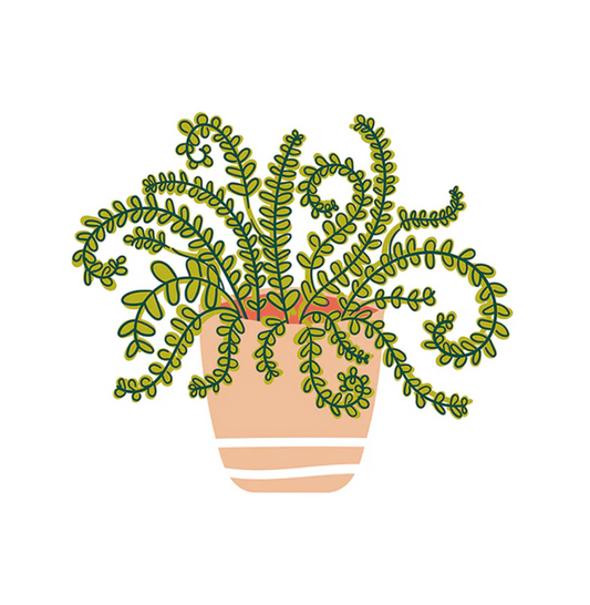 2025 Attachelor Happy House Plant Attachment