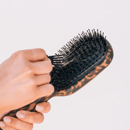 Detangler Hair Brush - Medium Hair