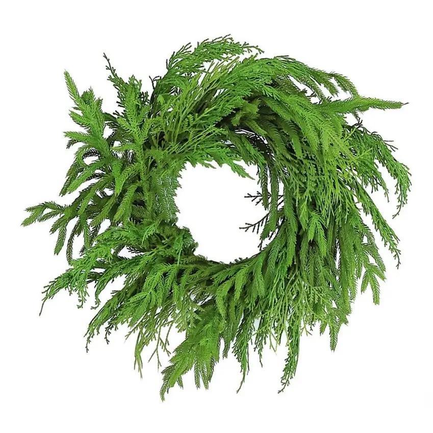 Deluxe Mix Norfolk Pine