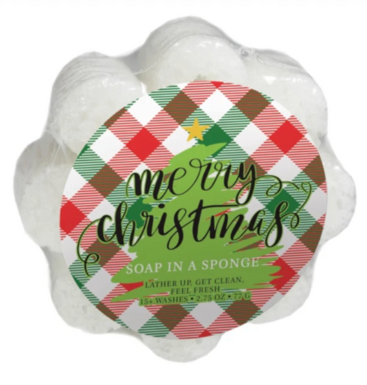 Assorted Christmas Shower Sponge