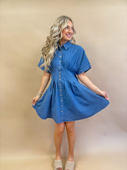 Savannah Stroll Denim Dress