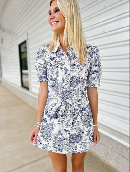 Lynne Collared Dress