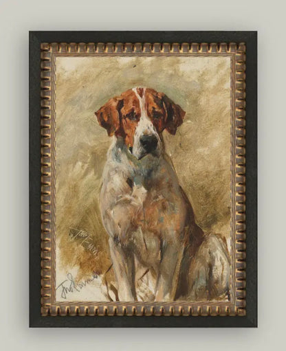 Study of a Hound Framed Antique Art 5x7