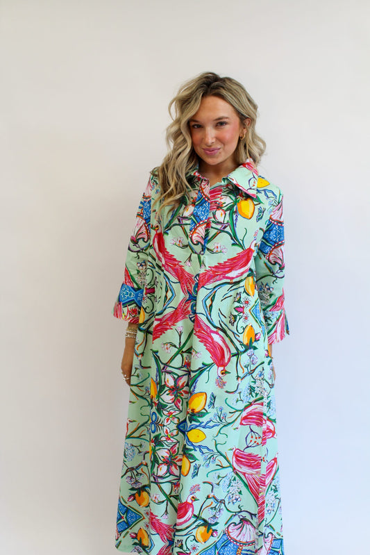 Mint Chinois Shirt Dress Long