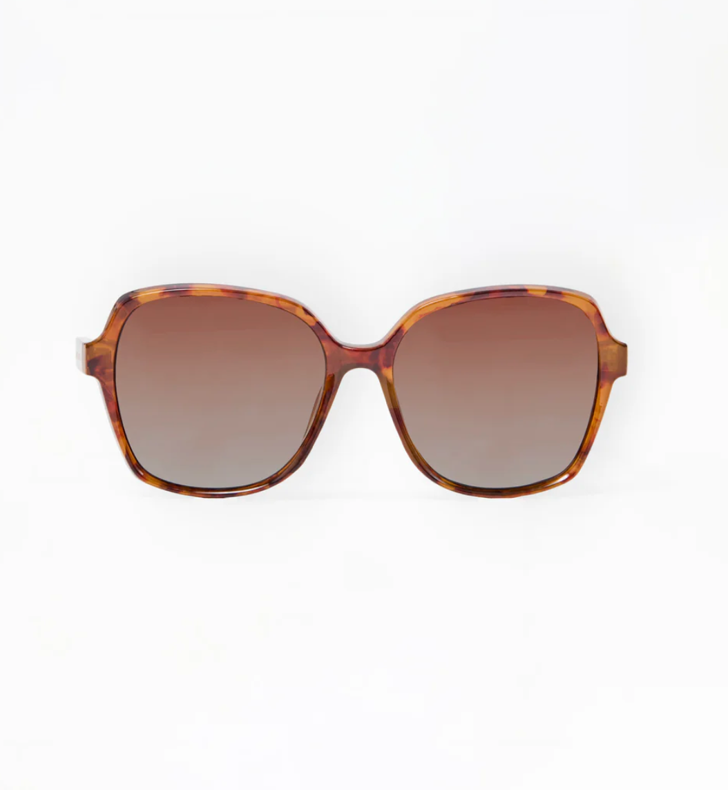 Sunglasses Haley Tortoise