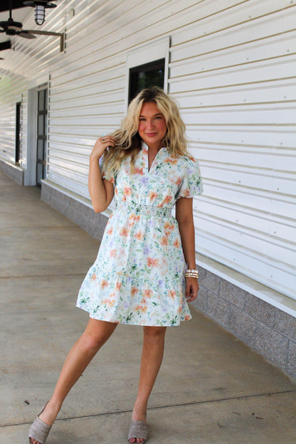 Mary Louise Dress