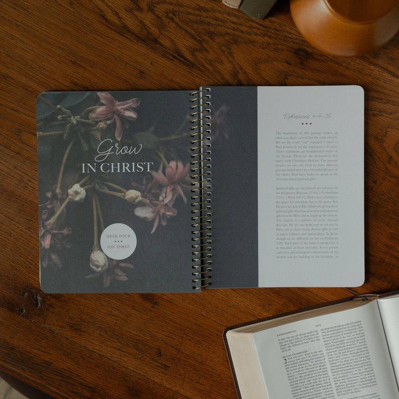 Chosen | Ephesians Bible Study