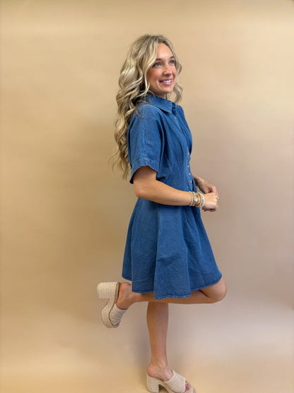 Savannah Stroll Denim Dress