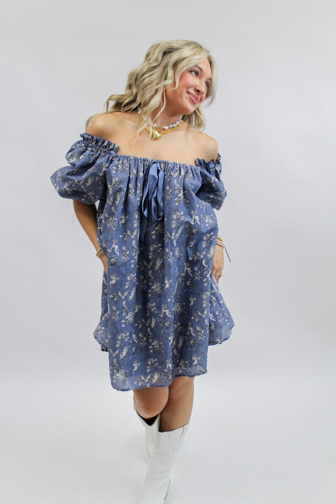 Flora Blue Toile Print Mini Dress