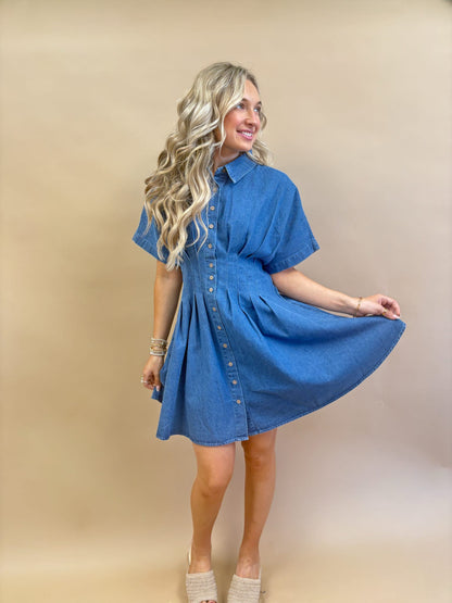 Savannah Stroll Denim Dress