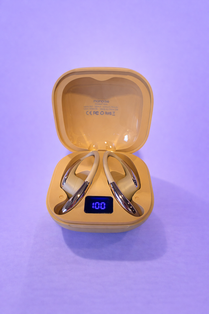 Earbuds