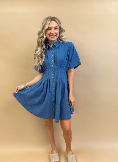 Savannah Stroll Denim Dress