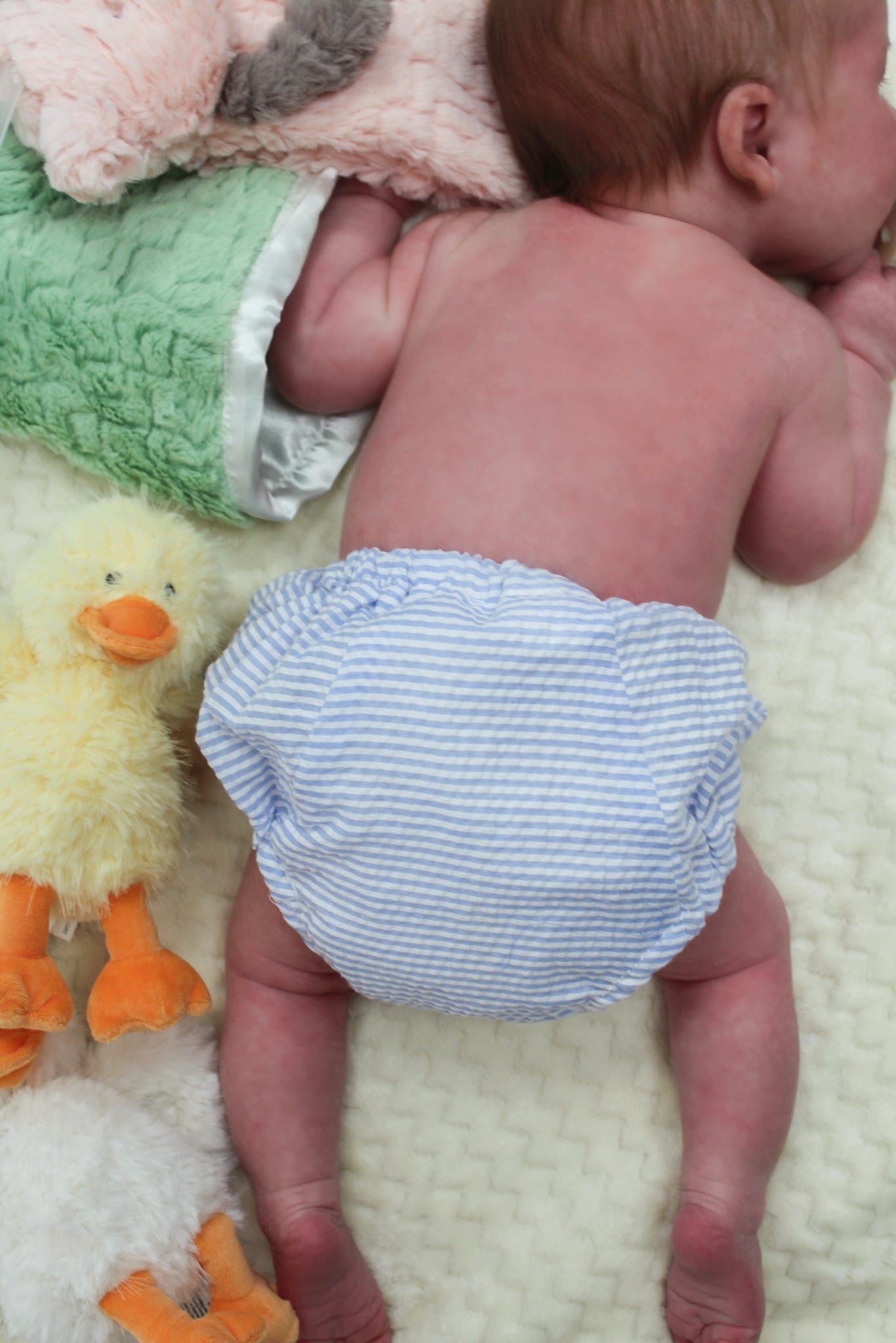 Baby Blue Seersucker Bloomers 0-6M