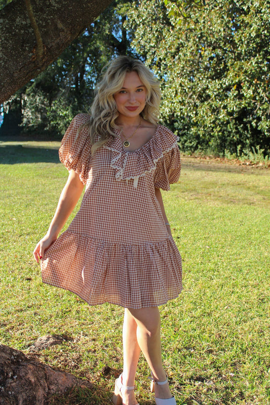 Wren Gingham Mini Dress