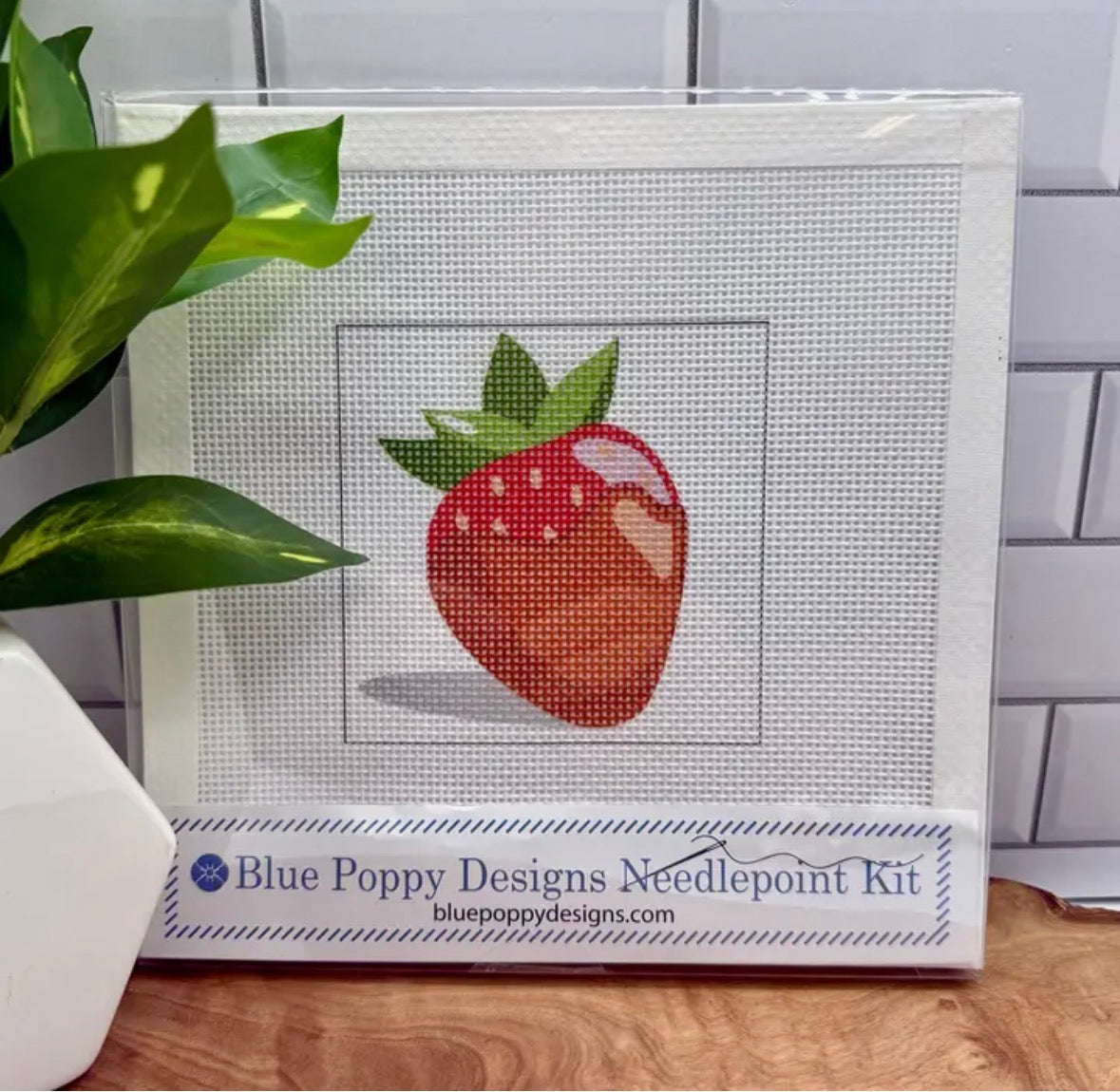 Chocolate covered Strawberry Needlepoint Kit | default - #NP88-FOO-004