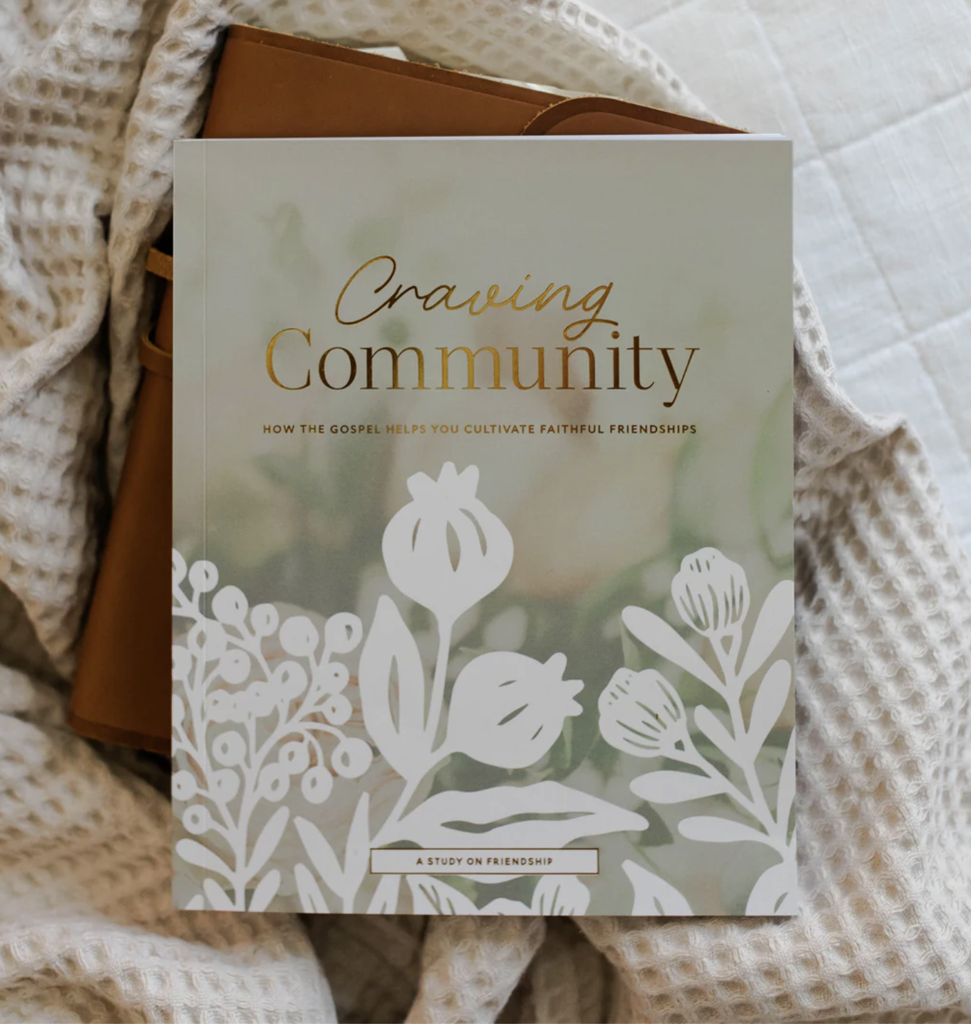 Craving Community | A Bible Study on Friendship