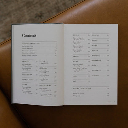 A Year in the Bible | Men's Study | 365 Days of Discovering the Beauty of Jesus from Genesis to Revelation | Volume 3