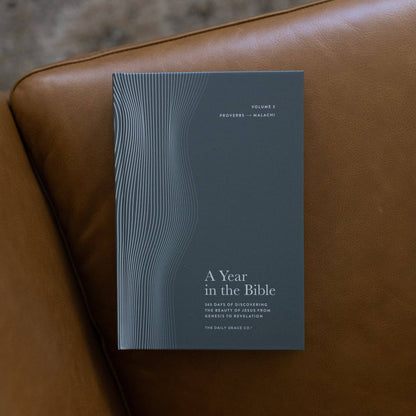 A Year in the Bible | Men's Study | 365 Days of Discovering the Beauty of Jesus from Genesis to Revelation | Volume 3