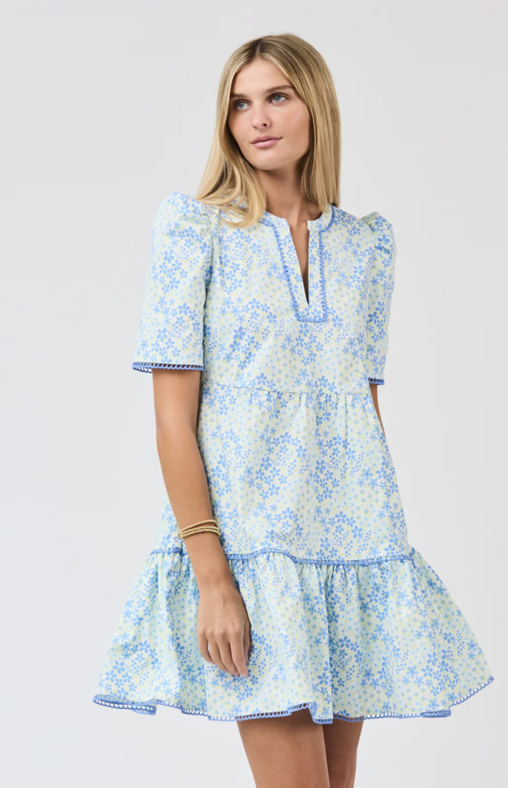 Adelyn Larkspur Fields Dress in Blue
