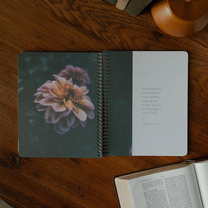 Chosen | Ephesians Bible Study