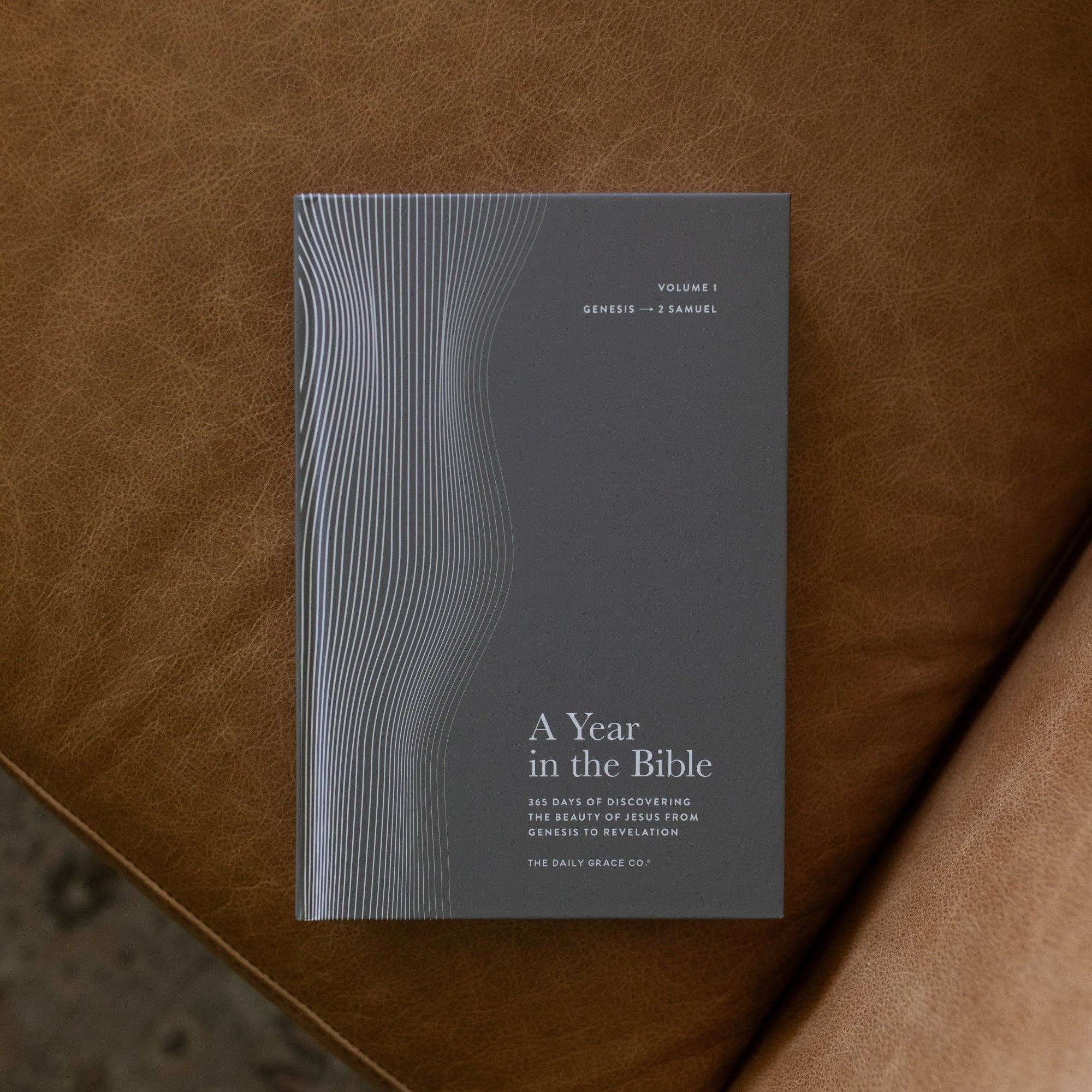 A Year in the Bible | Men's Study | 365 Days of Discovering the Beauty ...