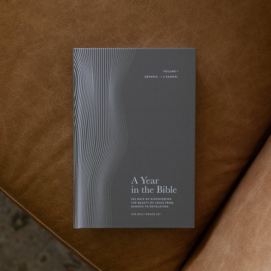 A Year in the Bible | Men's Study | 365 Days of Discovering the Beauty of Jesus from Genesis to Revelation | Volume 1