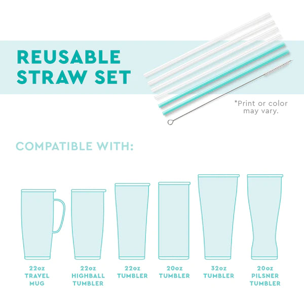 Retro Rainbow Reusable Straw Set